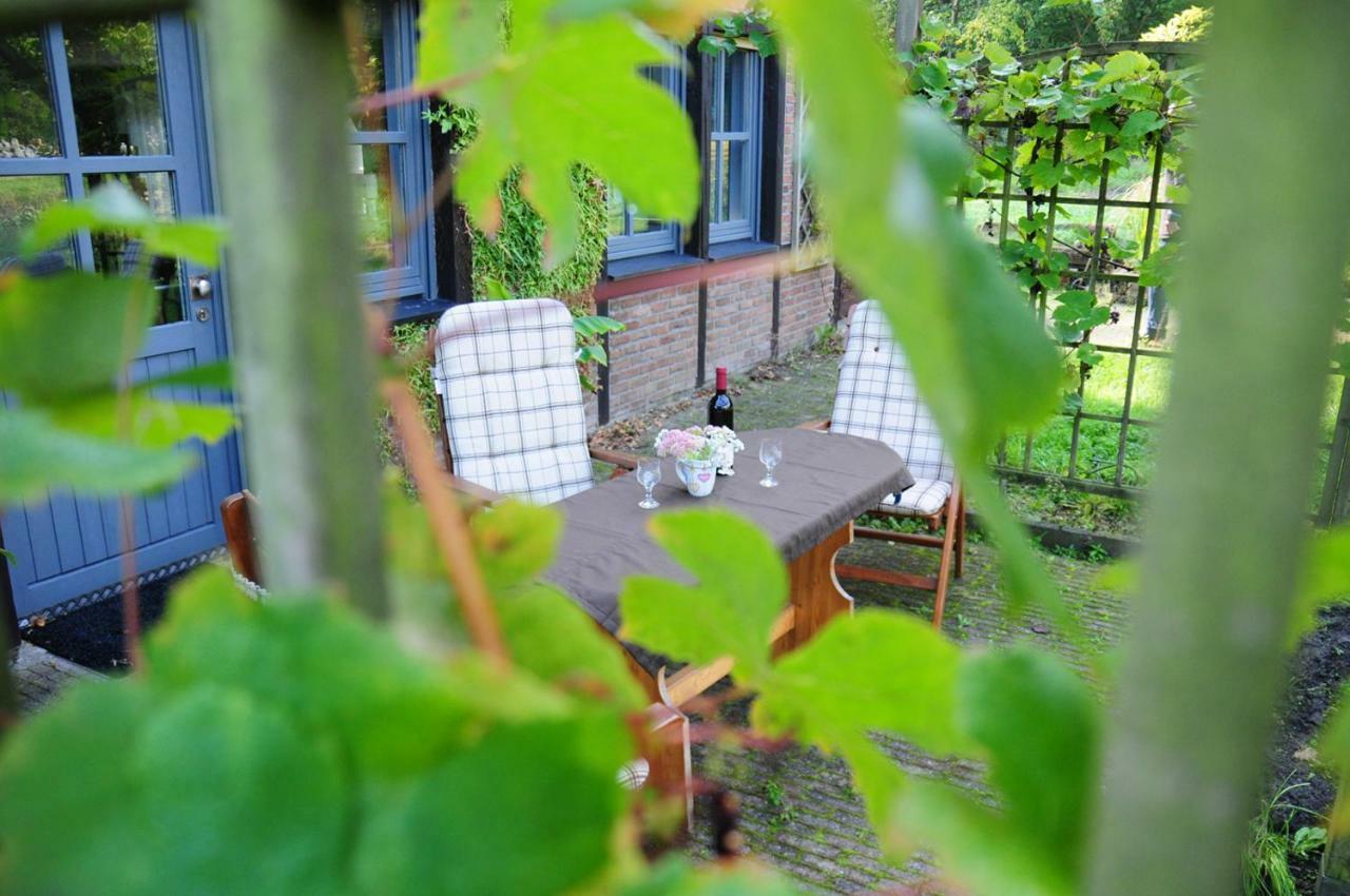 Aaltine 3 Apartment Bad Bentheim Exterior foto