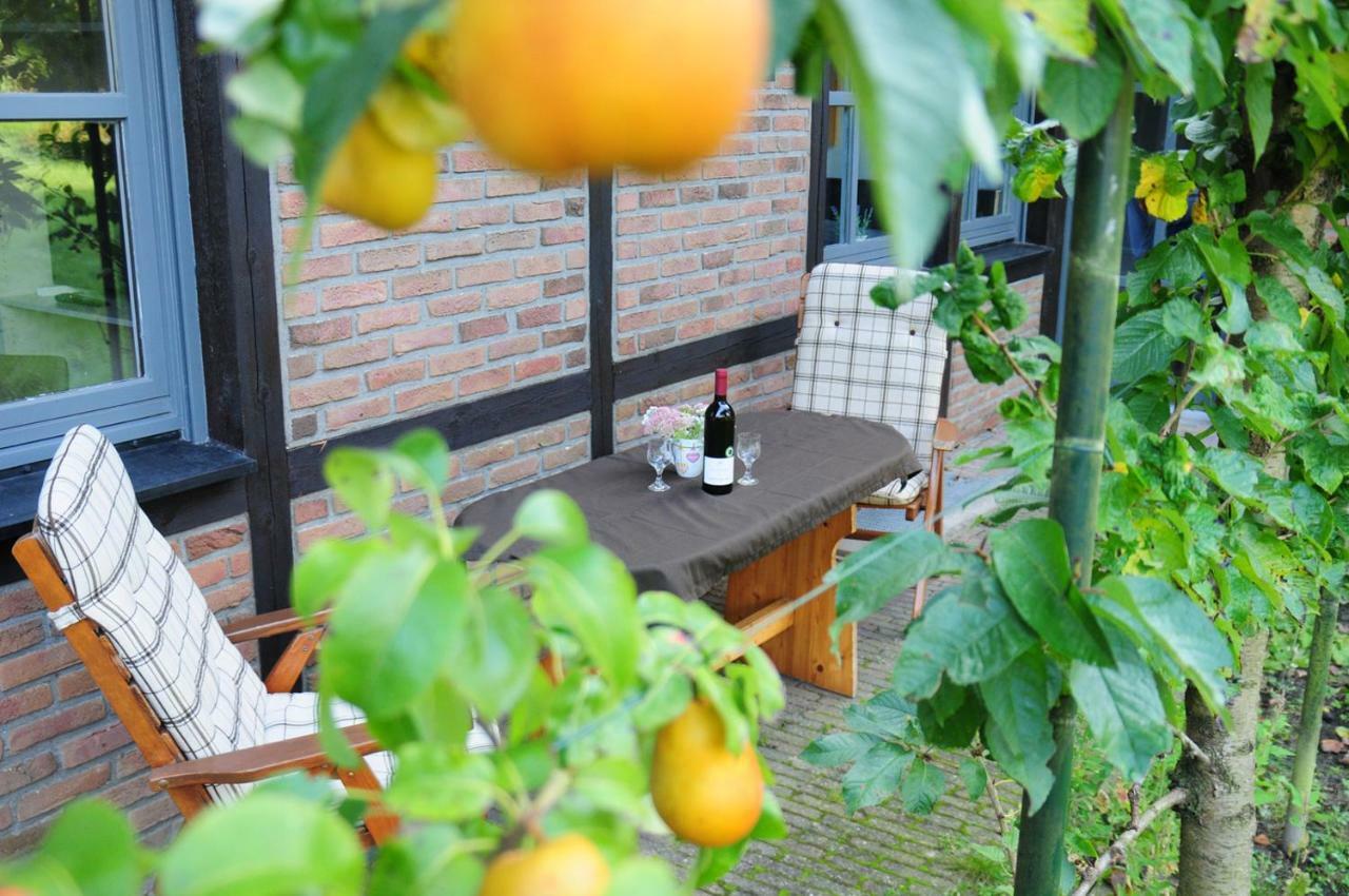 Aaltine 3 Apartment Bad Bentheim Exterior foto
